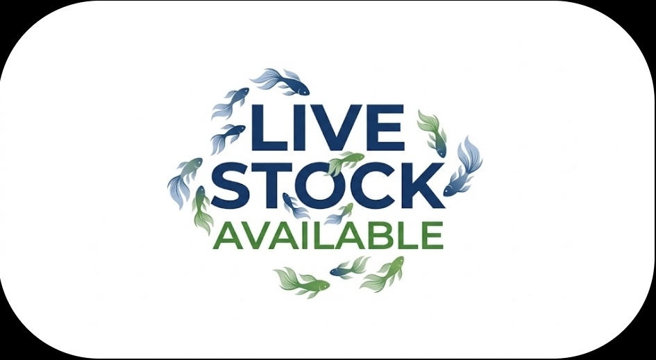 Livestock Currently Available In-Store Logo