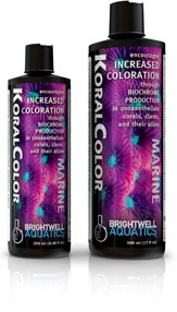 BW CORAL COLOR 500 ML