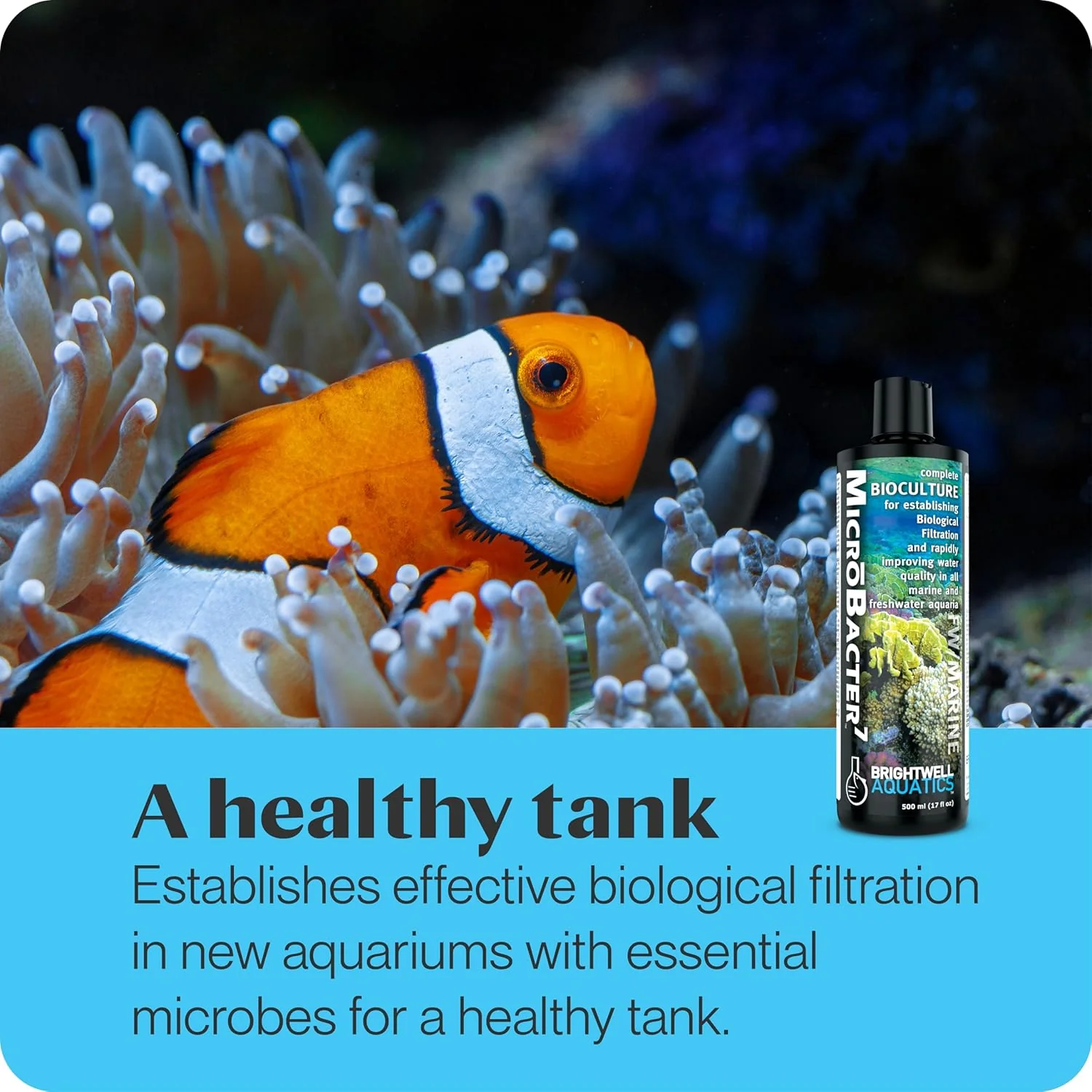 BW MICRO BACTER7 125ML
