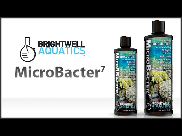 BW MICRO BACTER7 125ML