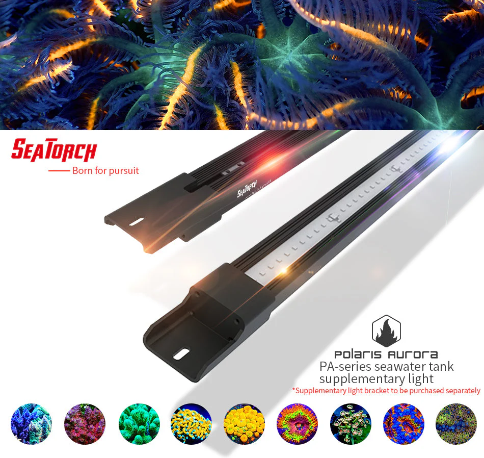 SeaTorch LIGHT BAR PA-60