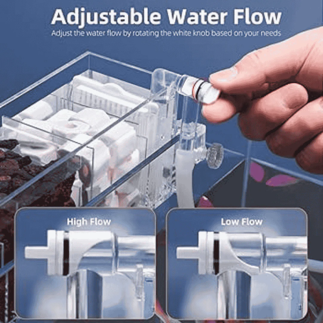 Jeneca Filter