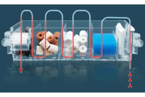Jeneca Filter