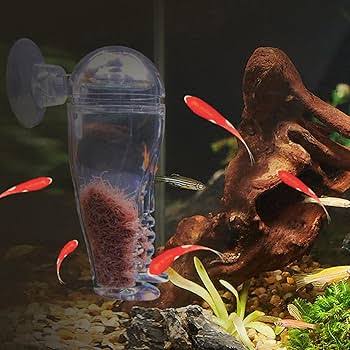 Feeder