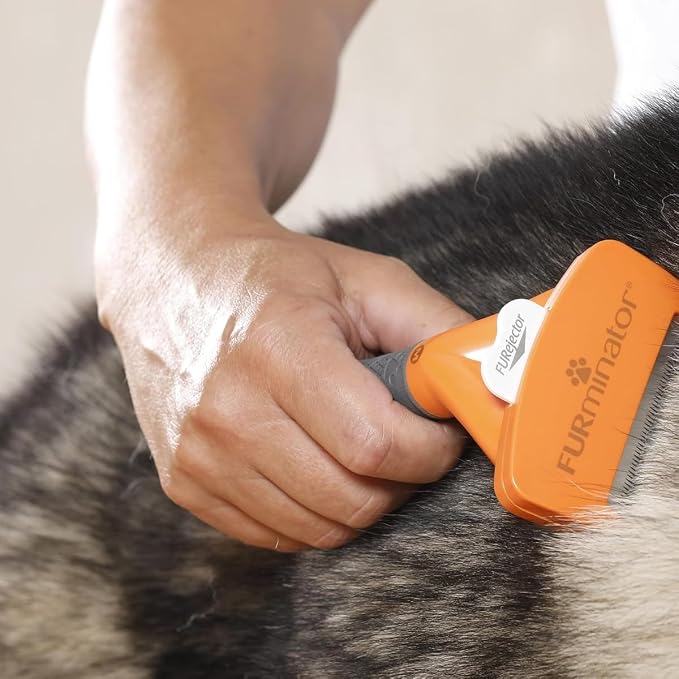 FURminator Undercoat DeShedding Tool For Medium Short Hair Dogs 9-23 Kg, Orange With Grey