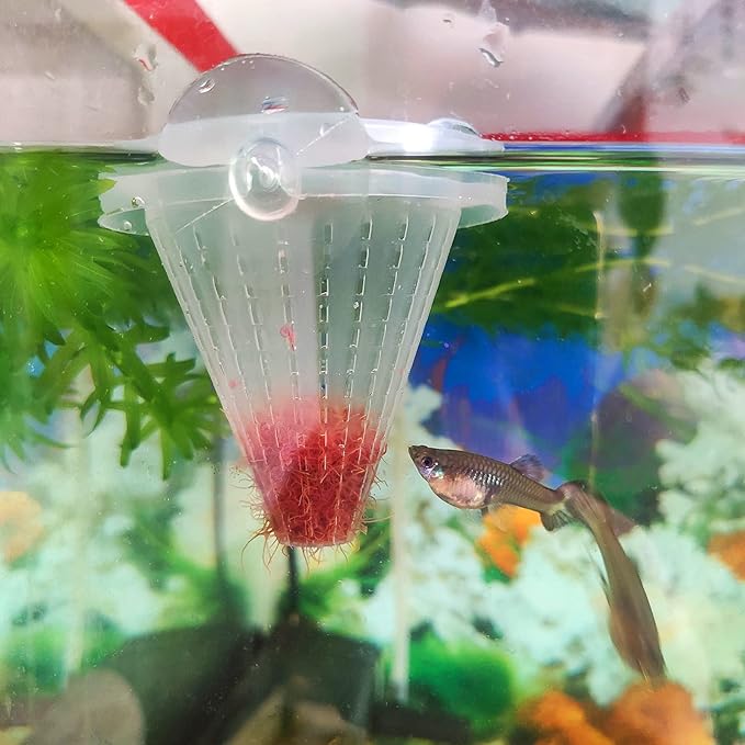 Live Blood Worm Plastic Cone Cup Shape Basket Feeder for Feeding Fish with Suckers