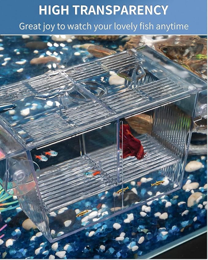 Aquarium Fish Breeding Box L