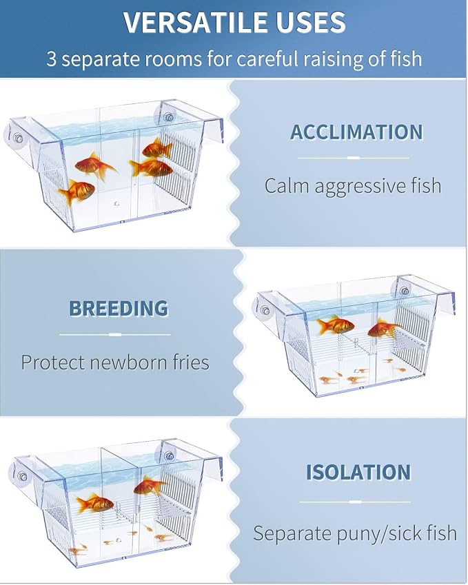 Aquarium Fish Breeding Box  SMALL