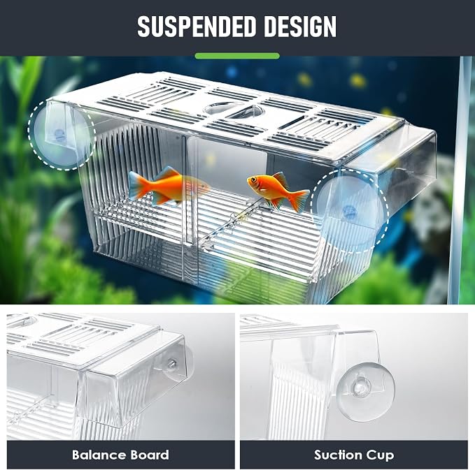 Aquarium Fish Breeding Box  SMALL