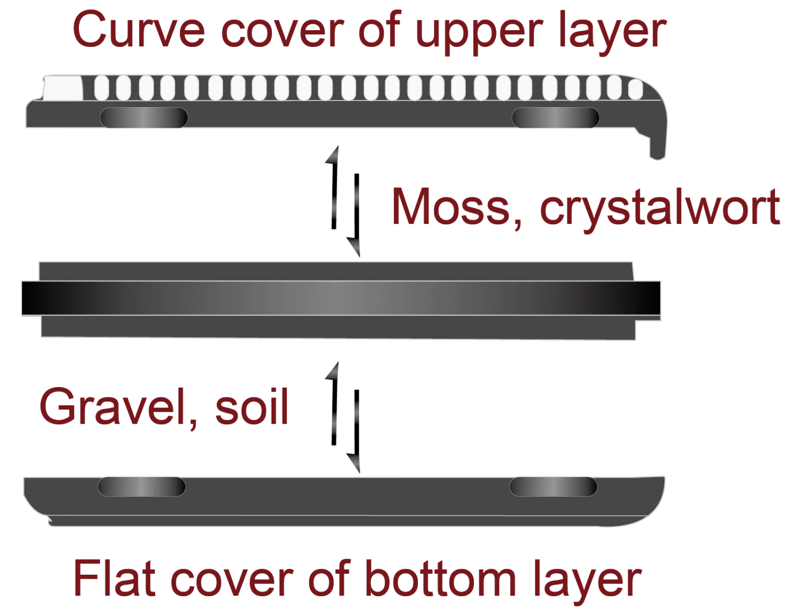 Plant Java Moss Cultivation Platform Pads - 4 Pack