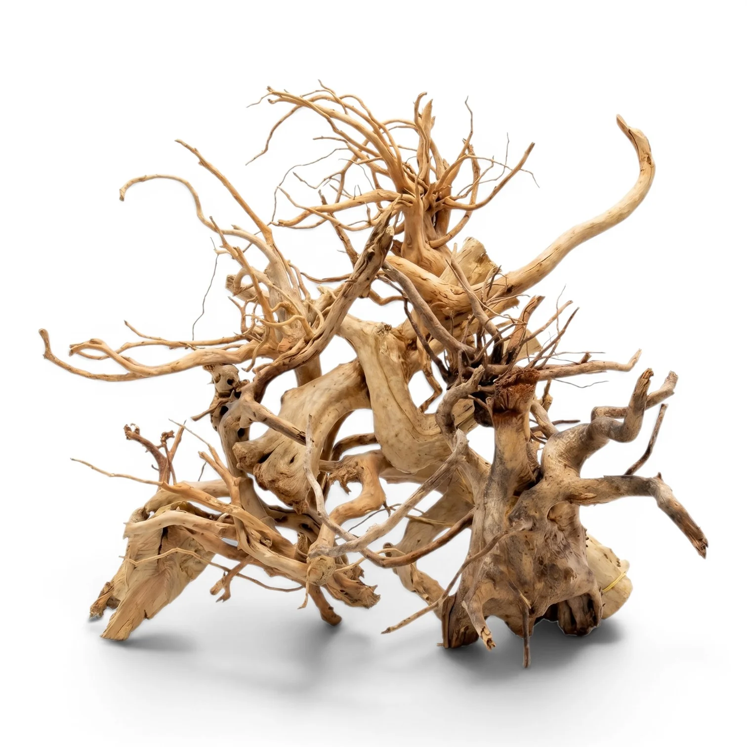 Spider Wood Per 1KG