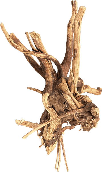 Spider Wood Per 1KG