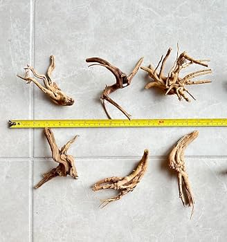 Tiny spider wood Per Pcs