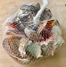 Net Bag with Assorted Shells