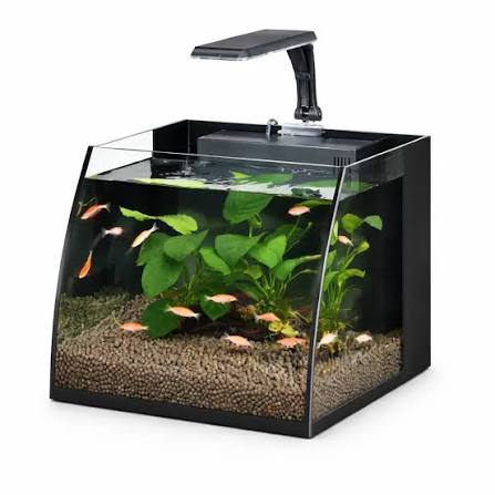 Haqos Belly Box 30