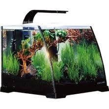 Haqos Belly Box 30
