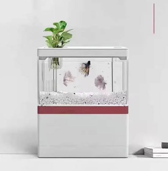 SQG Mini Desktop Aquarium