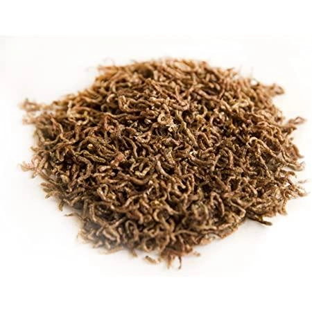 Biozym Freeze-Dried Bloodworms (16g / 150ml)