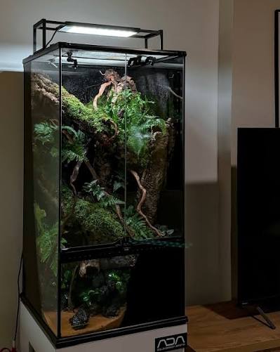 vivarium 30 x 30 x 50 cm