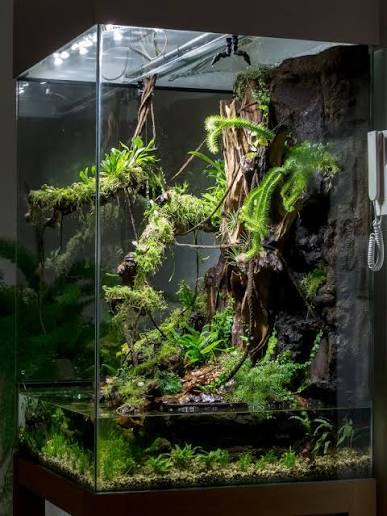 vivarium 30 x 30 x 50 cm