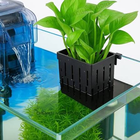 Plant Holder with Suction Cups & Hooks – Hanging