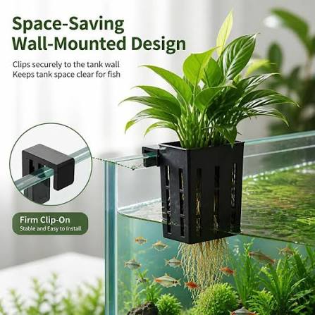 Plant Holder with Suction Cups & Hooks – Hanging