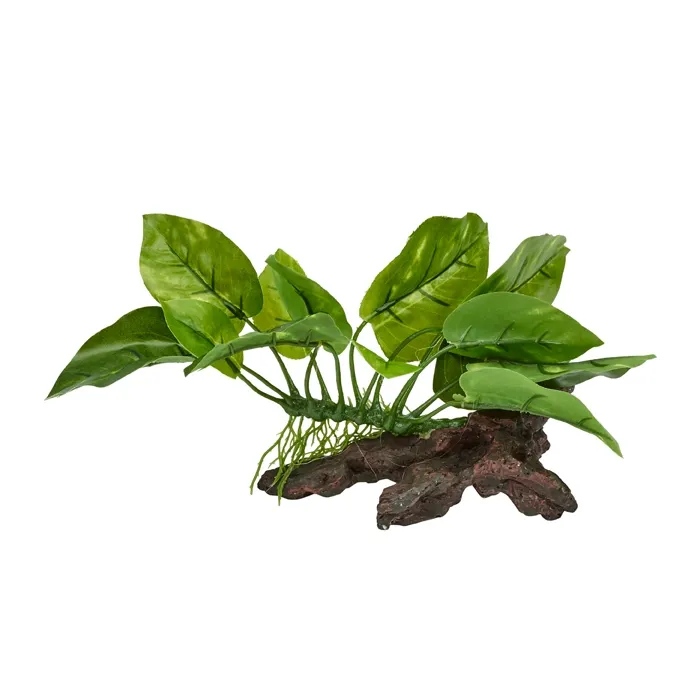 Anobia Plastic Plant On Fake Wood