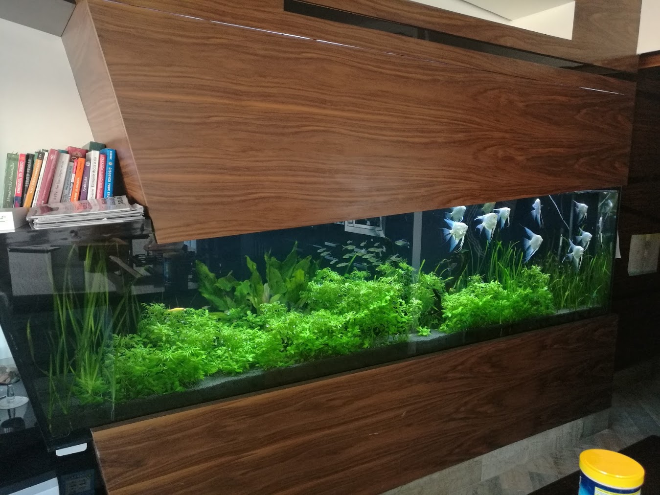 Private Residence - Amman, Jordan image