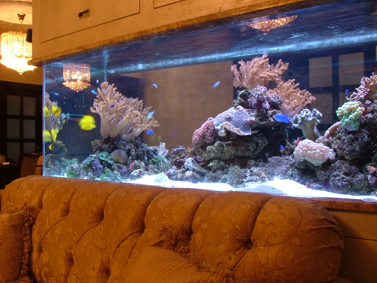 Private Residence - Amman, Jordan image