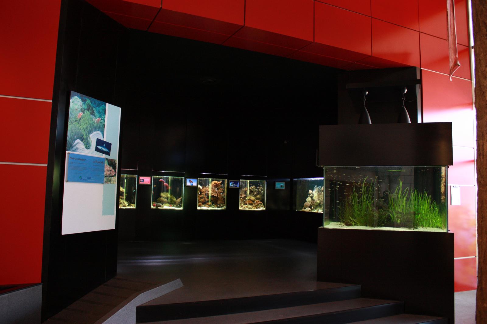 Children Museum Jordan - Amman, Jordan image
